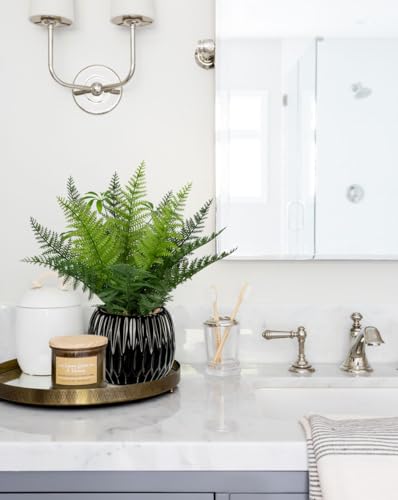 DILATATA Faux Plant Indoor in Ceramic Pot 11" Artificial Potted Fern Fake House Plants for Desk Office Bathroom Garden Decoration - Black