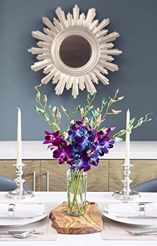 KaBloom-20 Blue&Purple Orchid Bouquet,Flowers for Valentine, Mother's Day - color: Blue and Purple, size: 20 count, style: Without Vase