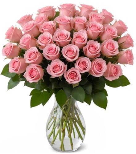 25 Pink Roses | Arabella Bouquets | Real Fresh Flowers for Delivery, Gift for Birthday Women, Congratulations, Anniversary, Thank You, Mother's Day - color: Pink, size: 25 Stems