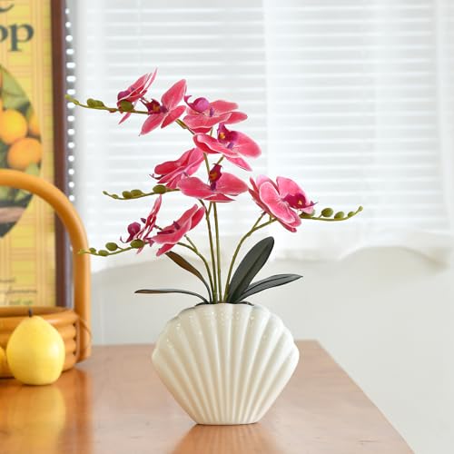 Artificial Phalaenopsis Orchid Plant in Seashell Pot, 16" Fake Orchid Flowers, Silk Faux Orchids for Home Decor, Office, Table Centerpiece, Real Touch Lifelike Indoor House Plant (Rose Red) - color: Rose Red