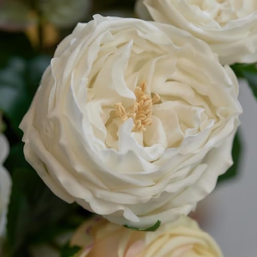 WILD WORKS Artificial Austin Roses, 4 Pcs Real Touch Fake Flowers with Moist Fabric Petals, 17.7 Inch Fake Peonies for Mother's Day Wedding Home Decor (White) - color: White 4pcs