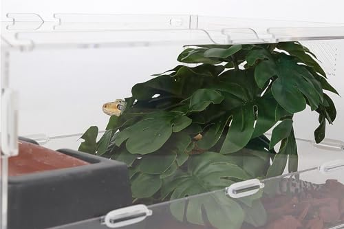 Reptile Plants for Terrarium, Ball Python Tank Decor Accessories fit Bearded Dragon Crested Leopard Gecko Lizard Chameleon Snake Frog Tortoise Hermit Crab - Fake Monstera - color: A-fake Monstera