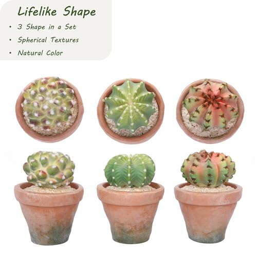 bellacat Fake Succulents with Warm White & Color Changing Lights, 5.6in Lifelike Artificial Succulent Plants, Faux Succulents Light Up Plants for Desk Shelf Living Room Bedroom Decor, Set of 3 Shape - color: Succulent A-3.6in Pot