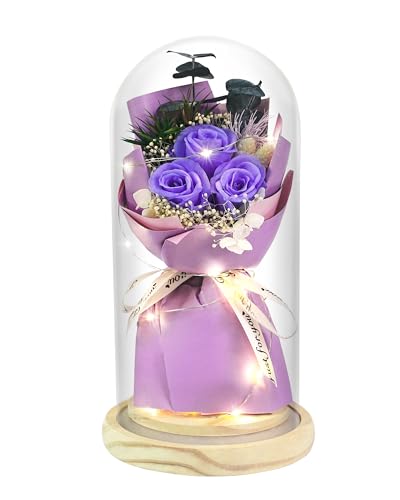 HVY Preserved Flower Bouquet Gift for Her,Forever Fresh Flowers for Delivery Prime Preserved Roses in Glass with LED Light Mothers Day Birthday Gifts for Mom,Wife,Grandma, Purple Rose - color: Purple Rose