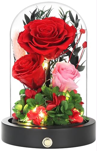 Red Roses Gifts for Women,Preserved Roses in Glass Dome, Forever Flowers for Delivery, Eternal Flower Mothers Day Anniversary Birthday Valentines Day Gifts for Wife Her Mom - color: New Red
