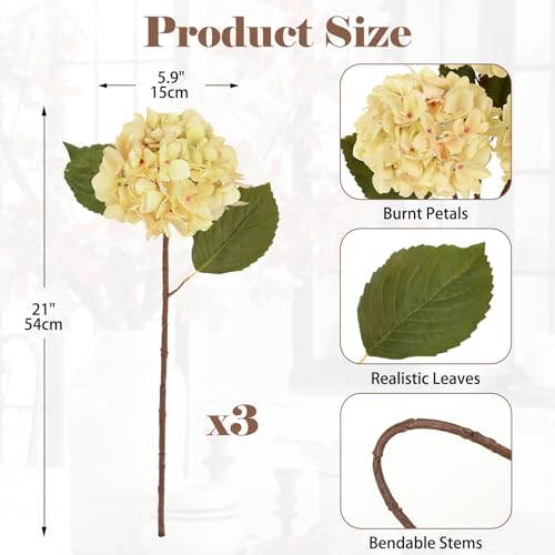 Hollyone 3Pcs Cream White Hydrangea Artificial Flowers Faux Dried Touch Hydrangeas Silk Flowers with Stems Fake Fall Florals Flower for Home Wedding Table Centerpiece Vase Arrangements Fall Decoration - color: Cream - Dried Hydrangea