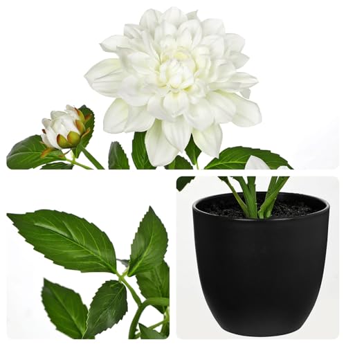 GnFlus Artificial Plants & Flowers in Pot White Dahlia Artificial Flowers Potted Plant Faux Silk Flower with Pot Fake Flower for Home Bathroom Table Centerpieces Wedding Shelf Desk Decor 16.5 Inch - color: White-16.5