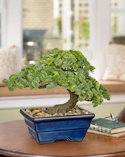 Artificial Bonsai Tree Faux Plants Indoor Fake Plants Decor with Blue Ceramic Pots for Home Table Office Desk Bathroom Shelf Bedroom Living Room Farmhouse Decor - style: Jade- glaze basin