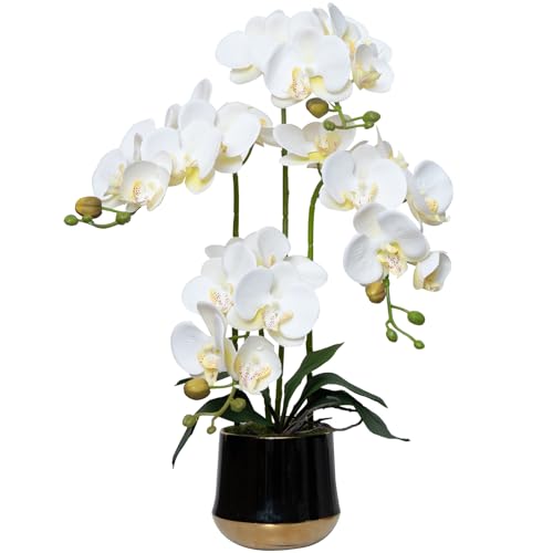 Artificial Orchid Flowers in Ceramic Vase Realistic White Faux Orchids 19.5 Inch Fake Phalaenopsis Plant Arrangements for Home Indoor Centerpiece Decor (Set of 4 Stems) - color: White, size: 14CM- BlackGolden
