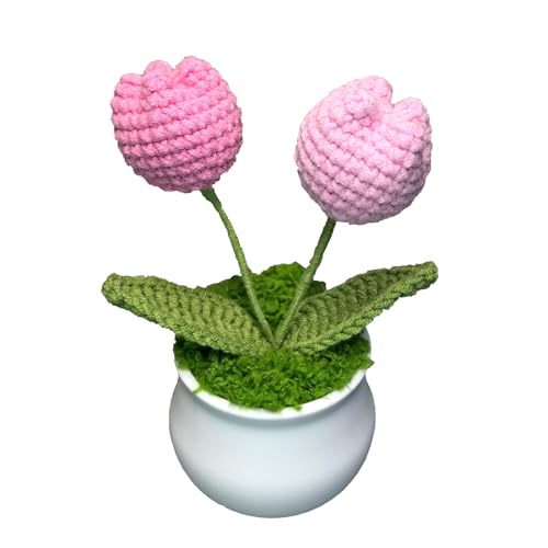 Joekaran Crochet Flowers Cute Little Potted Flower, Gift for Birthday, Teacher’s Day, Graduation, Anniversary, Christmas, Decor for Car Dashboard,Home Office Decoration (Pink Gradient Tulips) - color: Pink Gradient Tulips