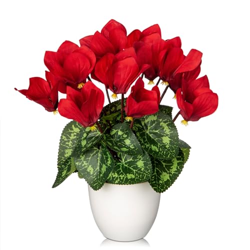 Hollyone Artificial Cyclamen Flowers Plant Potted Fake Silk Flower Plants in White Pot Faux Red Cyclamen Flowers Arrangement Home Decor Office Bathroom Shelf Desk Decorations - color: Red, size: Cyclamen Flowers