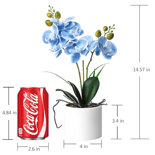 Jusdreen Artificial Blue Orchid in Ceramic Pot, Realistic Phalaenopsis Arrangement with Potting for Home Office Table Decor, 14.5 Inch Flower Centerpiece - color: Z/Ceramic-blue