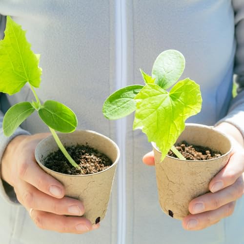 Dalzom® 60Pcs 4” Peat Pots with 60Pcs Plant Labels, Biodegradable Pots for Seedlings with Drainage Holes, Garden Plant Nursery Pots Seed Starting Trays - size: 4"