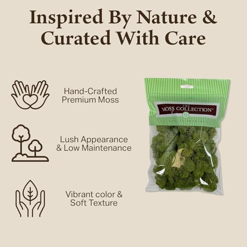 Quality Growers - Preserved Reindeer Moss - Moss for Crafts, Home Decor, Art, Design & DIY Projects - Non-Toxic - USA Made (Spring Green, Small, 2-Pack) - color: Spring Green, size: Small (2-Pack)