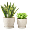 Docrin Ceramic Plant Pots Indoor, 6.6 + 5.5 Inch Planters with Drainage Holes and Saucer for Home/Office - Set of 2 /White - color: Creamy-white