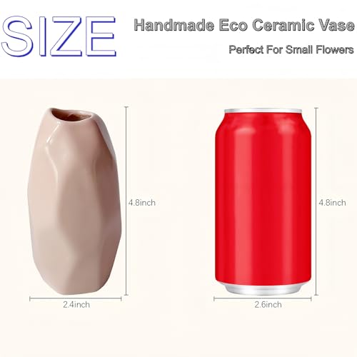 Simple Vase for Flowers Plants, Small Cute Flower Vase for Modern Table Shelf Home Decor Wedding Boho Decor, Farmhouse (6pc-BGZ-Pink) - color: 6pc-bgz-pink