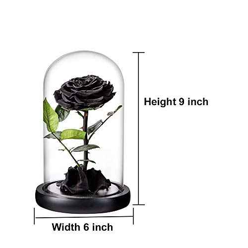 Preserved Roses Black Roses Handmade Real Rose in Glass Dome, Preserved Roses Never Withered Romantic Gifts for Her, Mother's Day, Birthday Gifts for Women (9 inch, Black) - color: Black, size: Large