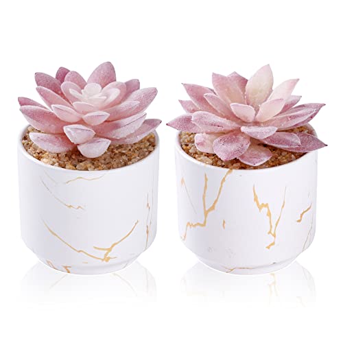 ZENIDA Artificial Plants and Succulents in 2 White Ceramic Pots,Small Fake Plants for Office and Desk Decor,Bathroom, Bedroom,Shelves for Women - color: White
