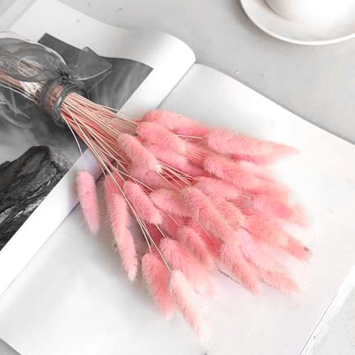 60PCS Rabbit Tail Grass Dried Flowers Dried Natural Floral Arrangement Bunch Decoration Dried Grass,Eternal Flower Dried Grass for Home,Wedding,Party,Flower Bouquet,Photo Props Decor (Pink)