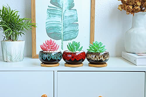 Cute Ceramic Succulent Garden Pots, Planter with Drainage and Attached Saucer, Set of 5 -Plants Not Included (Round) - color: Round
