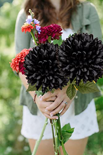 Briful Autumn Artificial Chrysanthemums Ball Flowers 6’’ Large Heads Mums Stems Black Fake Hydrangea Flowers Bouquet for Home Halloween Wedding Fall Decorations, Set of 4 - color: 6'' Dia. 4pcs Black