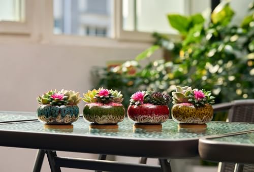 Cute Ceramic Succulent Garden Pots, Planter with Drainage and Attached Saucer, Set of 5 -Plants Not Included (Round+White Border) - color: Round+white Border