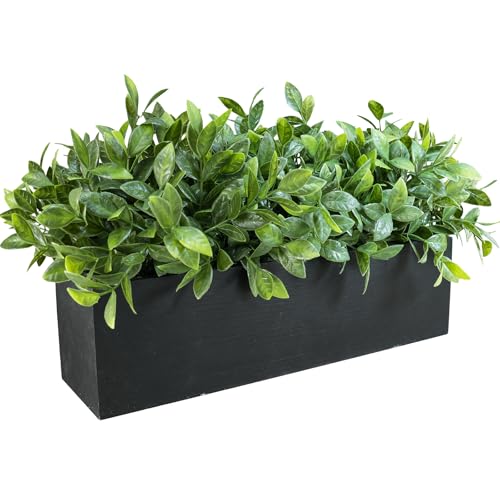 Winlyn 14" Artificial Boxwood Plant Greenery Arrangement Faux Boxwood in Black Rectangular Wooden Planter Potted Herb Plant for Farmhouse Home Decor Wedding Windowsill Mantel Shelf Table Centerpiece