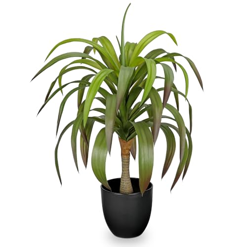 Briful Fake Agave Plant 22in Artificial Agave Potted Plant Fake Outdoor Plants for Home Office Living Room Bedroom Kitchen Table Decor - color: Red-edged Green