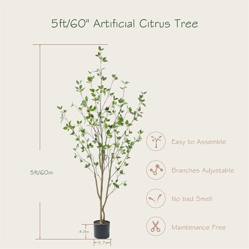 Bellacat 5ft Artificial Minimalist Citrus Tree with Lifelike Leaves, 60in Faux Citrus Tree with Realistic Trunks, Faux Tree Indoor Outdoor for Home Office Living Room Bedroom Porch Decor. - color: Black, size: 5ft
