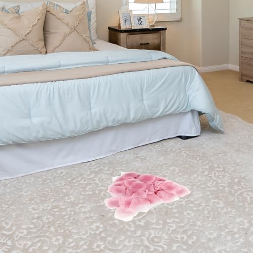 JHFGJGH 500 Pcs Exquisite Light Pink Rose Petals, Artificial Flower Petals for Weddings,Events Deco - color: Light Pink