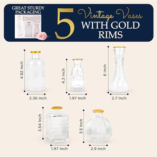 Luxury Glass Bud Vase Set of 5 – Hand Painted Gold Rim Mini Vases, Elegant Small Glass Vases for Centerpieces, Vintage Clear Flower Vases for Wedding, Table, Home & Party Décor - color: 5 Pcs Clear + Gold Rim, size: 5 Pcs
