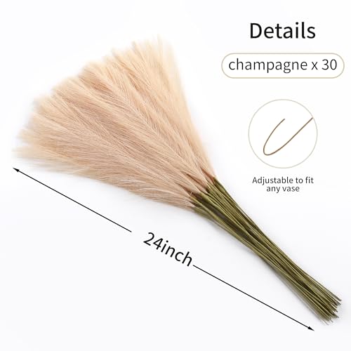Wertuirk Faux Champagne Pampas Grass - 30pcs 24 Inch Boho Home Decor, Artificial pompas Floral for Table Centerpieces, Farmhouse and Baby Shower Decorations (Champagne, 30 Pieces) - color: Champagne, size: 30 Pieces
