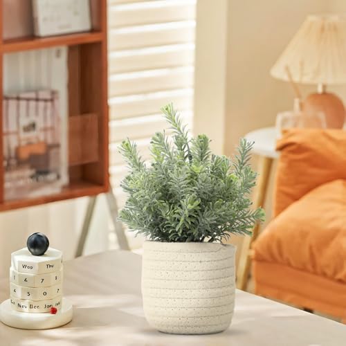 Hopewood Small Artificial Plants Eucalyptus with a Weave Basket Potted Plants for Home Office Desk Farmhouse Indoor Decor - color: Green Plant Style B