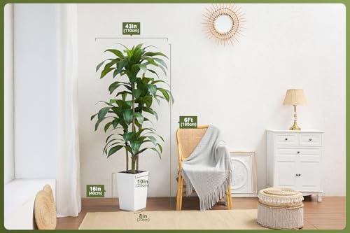 VeriNatural 6FT Artificial Dracaena Tree - UV Resistant Faux Tropical Plant, Potted Fake Tree with Taper Planter & Pebbles - Indoor Outdoor Greenery for Home, Porch, Living Room, Bedroom Decor, VN127 - color: White, size: 6ft