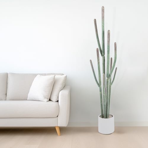 Nafresh Tall Faux Cactus Plant，62in Realistic Texture Tall Fake Plant, Artificial Cactus Large with White Planter Indoor Outdoor for Home Office Living Room Bedroom Foyer Porch Decor. - size: 62in with plastic white planter