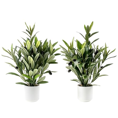 2 Pcs Artificial Olive Potted Plants, 16" Faux Greenery with Pot, Fake Green Plants Olive Stems Tables Centerpiece for Desk Shelf Cabinet Bedroom Livingroom Kitchen Indoor Home Decor - color: Potted Olive-2p