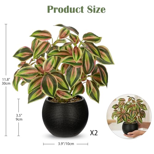 2 Packs Artificial Plants in Black Pot, 12" Faux Plant | Realistic Tradescantia Zebrina Fake Plants Potted Decorative for Home Kitchen Office Desk Bookshelf Decor - color: Pink-green