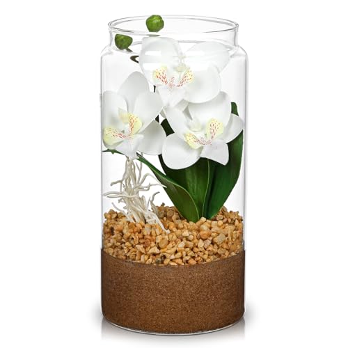 White Orchids Artificial Flowers with Vase, Small Faux Orchid Arrangement Fake Orchids Plant in Terrarium Jar Small White Orchid Centerpieces for Kitchen Dining Room Tables Bathroom Nightstand Decor - color: White + Brown Sand+white Root