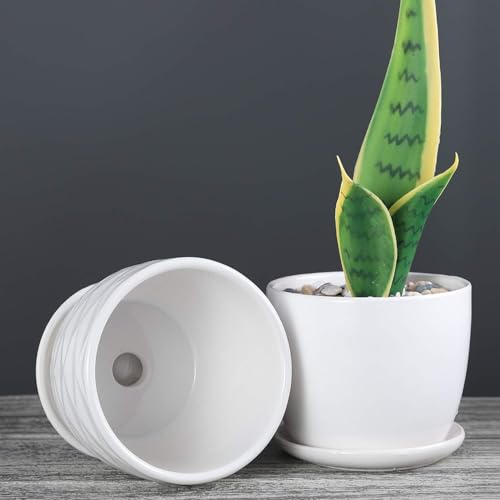 sietpoek Plant Pots - 4.7 Inch Cylinder Ceramic Planters with Connected Saucer, Pots for Succuelnt and Little Snake Plants, Set of 4, White - size: 4.7 Inch