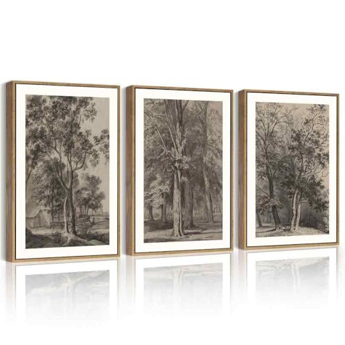 PHOPAGO Vintage Tree Framed Wall Art Retro Forest Wall Decor Nature Wilderness Sketch Paints Modern Bedroom Living Room Decor - 11x14in Natural Framed - color: Brown Tree, size: 14L" x 11W" x 3 Pcs Natural