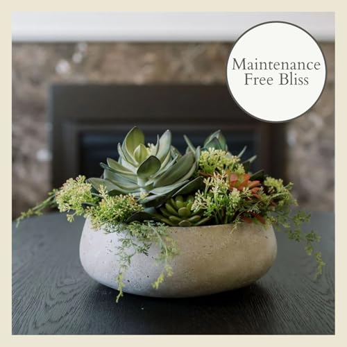 Round Faux Succulent Arrangement, 14" Premium Artificial Indoor Plant Enhances Interior Design, Display on Any Surface in Your Home Adding an Inviting Touch of Nature, Natural Planter Pot Included - size: 14" Round Natural Planter
