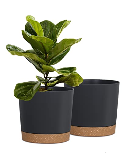 kubvici Plant Pots for Indoor Plants, 2 Pack 8 Inch Plastic Flower Pot Planters with Drainage Saucer for Indoor Outdoor Garden Home (8” Black) - color: Black, size: 8 inch