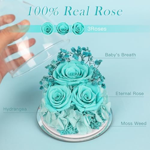 Mothers Day Flowers Gifts for Mom Flowers for Delivery Preserved Flowers Forever Real Fresh Roses in Glass Angel Figurines Birthday Gifts for Women Anniversary Present for Grandma Wife from Daughter - color: Light Blue (Rose, Baby's Breath, Hydrangea)