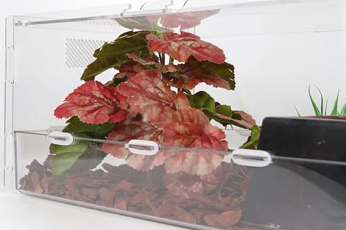 Reptile Plants for Terrarium, Ball Python Tank Decor Accessories fit Bearded Dragon Crested Leopard Gecko Lizard Chameleon Snake Frog Tortoise Hermit Crab - Fake Heuchera Micrantha Pink - color: E-fake Heuchera Micrantha Pink