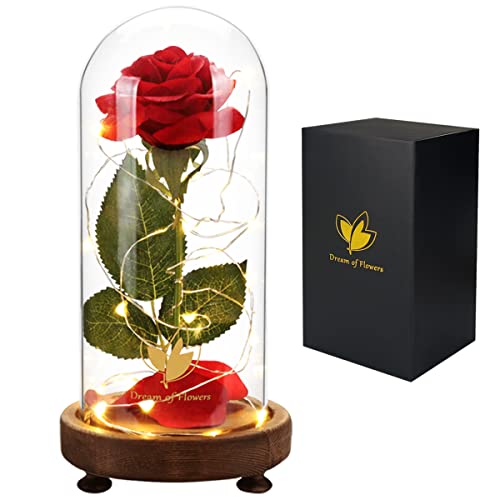 Preserved Rose Gifts for Mom,Birthday Gifts for Women,Beauty and The Beast Rose in Glass Dome,Silk Rose Forever Flowers with Lights,Valentines for Women Wife Daughter Girlfriend - color: Beauty and Beast