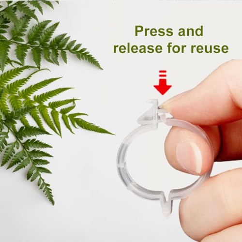 Secured Plastic Plant Clip, 2024 Upgraded Plant Support Clips Reusable Garden Clips 50Pcs, Plant Support Clips Garden Climbing Vines Fixing Clip Trellis Clips Climbing Tomato Clips (50, Black) - color: Black