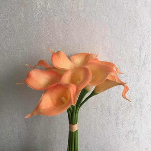 20Pcs 2.1 Inch Champagne Calla Lily Artificial Flowers Faux Calla Lily Fake Flowers Bulk Real Touch Latex Calla Lilies Flowers for Home Wedding Party Plant Decoration Table Centerpieces - color: Champagne