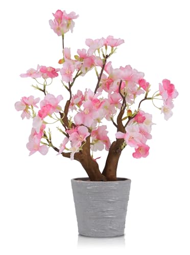 TOARTi Artificial Pink Cherry Blossom Potted Plant with Pot, 9.8" Tall Fake Flowers Faux Plant Desk Decor, Realistic Decorative Plants Indoor Decor for for Home Bedroom Bathroom Office Desk - color: Pink Cherry Blossoms-small 9.8''