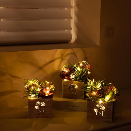 Succulents Plants Artificial with Light, Small Fake Plants in Pots for Home Decor, Potted Decorative Succulents Plants for Table Desk Bathroom Office Room Decor - color: Radiant