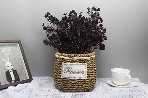JAKY-Global Babys Breath Fabric Cloth Artificial Flowers 12 Bundle European Fake Silk Plants Decor Wedding Party Decoration Bouquets Real Touch DIY Home Garden (Black-12pcs) - color: Black, size: 12 Bundles